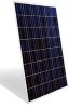 Sharp solar Poly